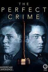 Poster for The Perfect Crime: Leopold & Loeb (2016)