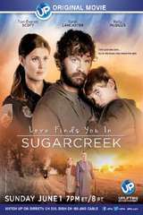 Poster for Love Finds You In Sugarcreek (2014)