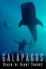 Poster for Galapagos Realm Of Giant Sharks (2014)