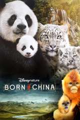 Poster for Born in China (2016)