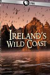 Poster for Ireland's Wild Coast (2017)