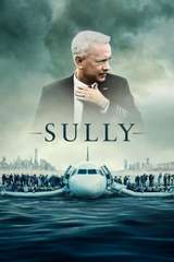 Poster for Sully (2016)