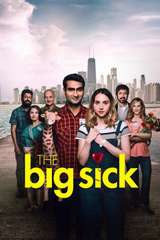 Poster for The Big Sick (2017)