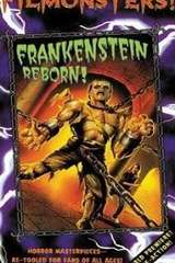 Poster for Frankenstein Reborn! (1998)