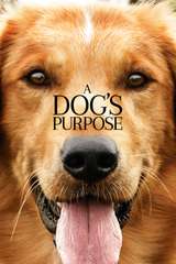 Poster for A Dog's Purpose (2017)
