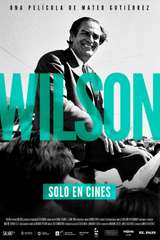 Poster for Wilson (2017)