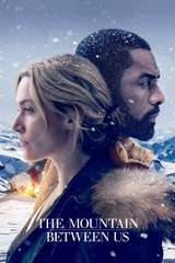 Poster for The Mountain Between Us (2017)